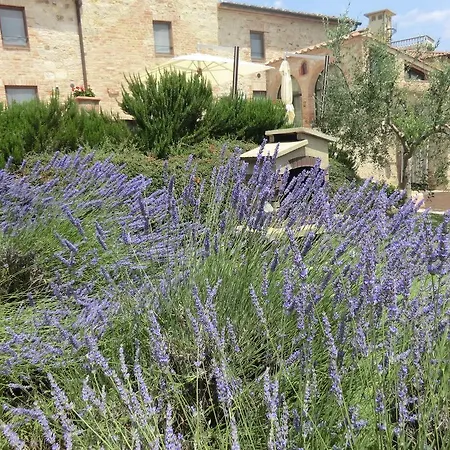 La Pieve Di San Martino Country house Colle Val D'Elsa
