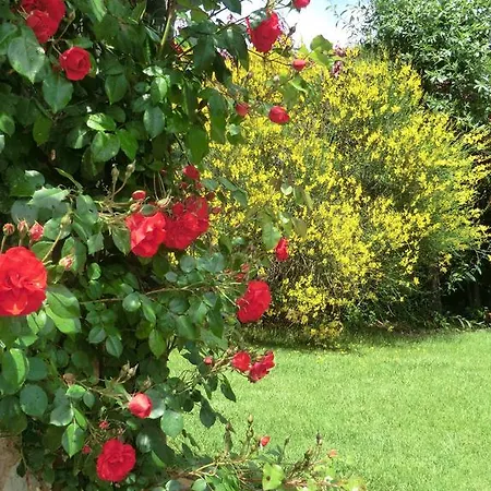Country house La Pieve Di San Martino *